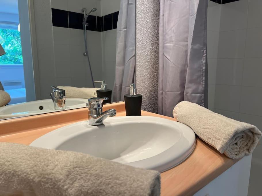 Apartament T2 Calme Et Paisible Parking Carcassonne Zewnętrze zdjęcie